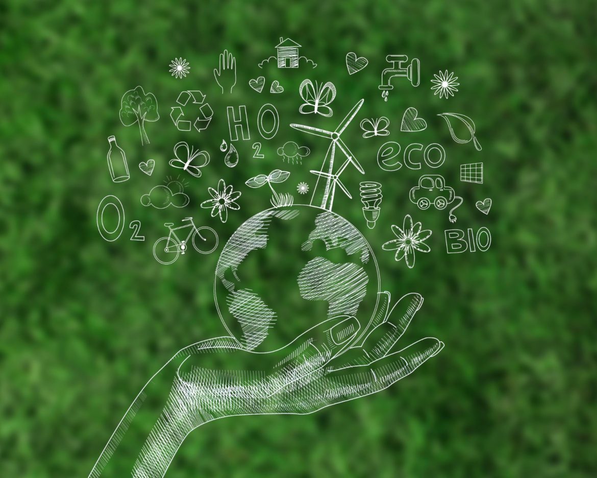 What Net-Zero Goals Mean for African Nations