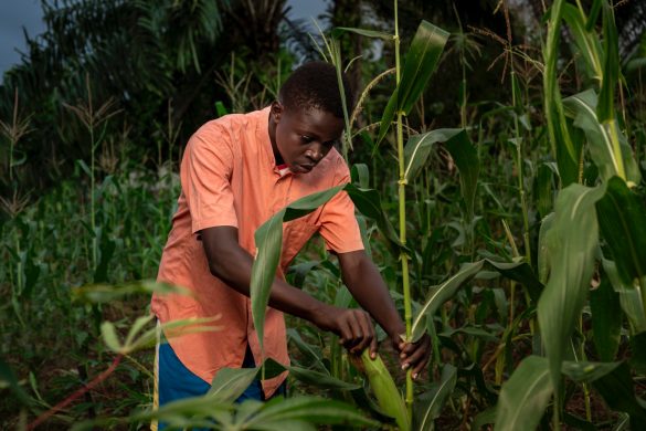 OPEC Fund first sustainability-linked financing to boost agriculture in Africa (1) OPEC Fund's First Sustainability-Linked Loan to Boost African Agriculture