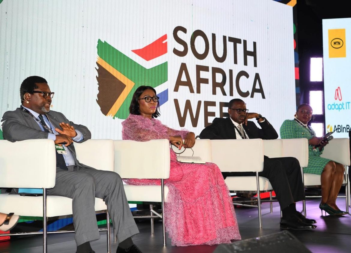 South Africa Nigeria renewable energy investment