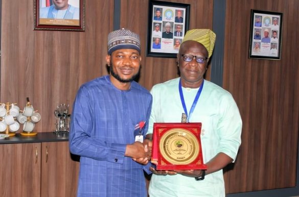 NEMSA NERC Nigeria power sector safety collaboration