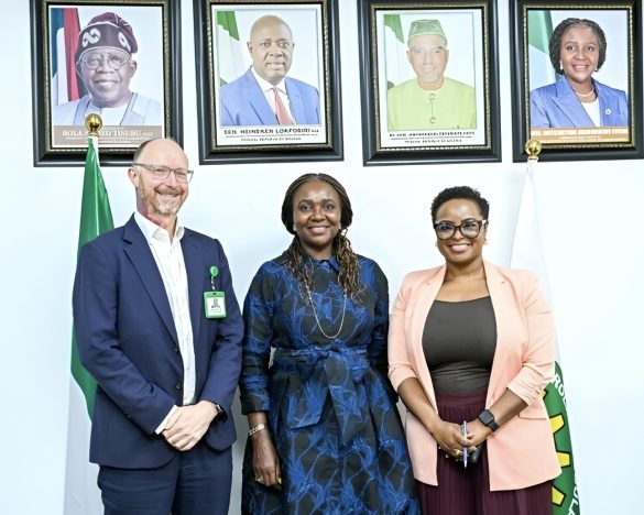 NUPRC Nigeria gas sector funding