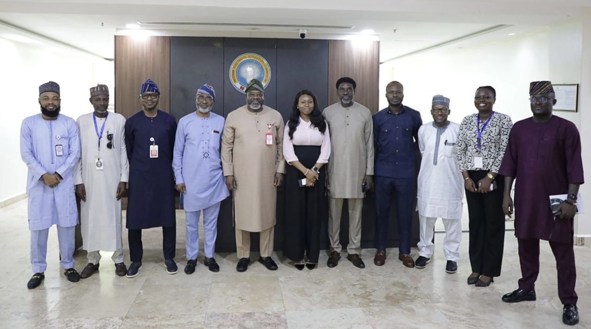 Nigeria renewable energy investment